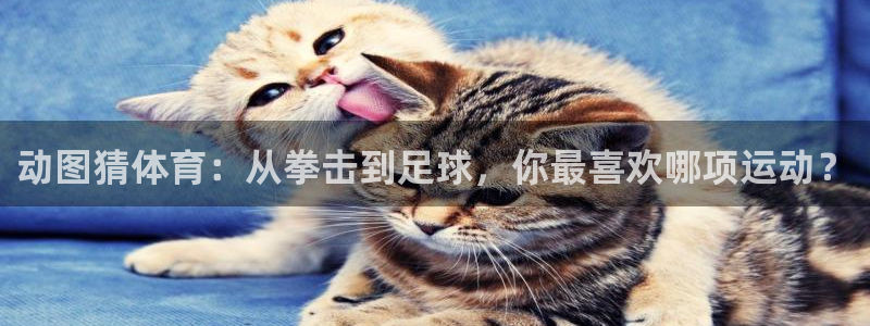意昂5Kgame2平台注册