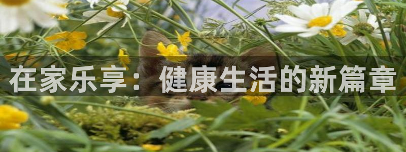 意昂5Kgame体育f开户