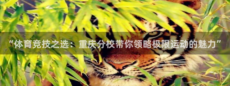 意昂5Kgame体育3