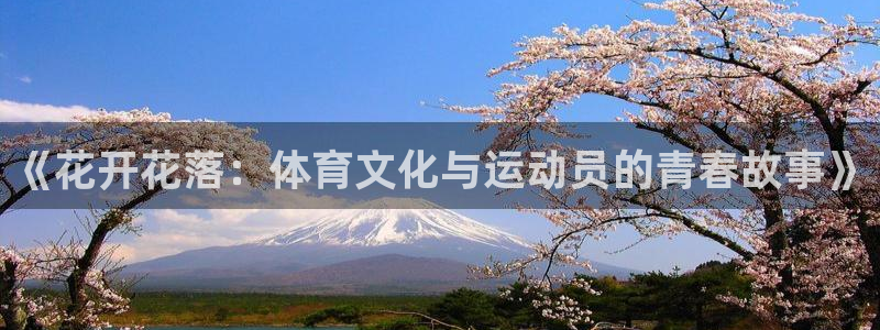 意昂5Kgame平台注册
