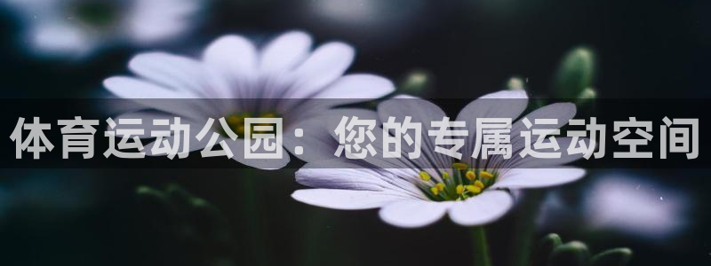 意昂5Kgame4官网