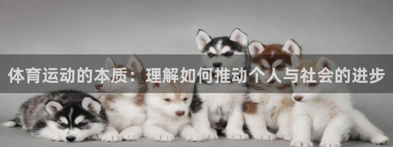 意昂5Kgame体育平台开号链接